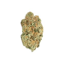 avaay 30/1 MIM Midnight Mimosa